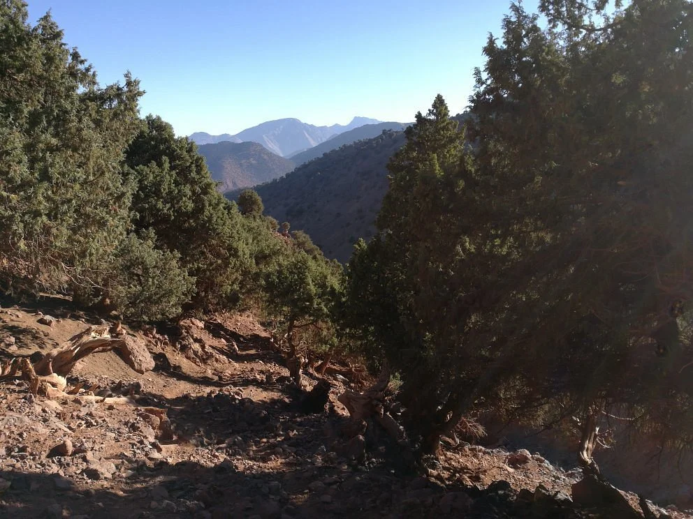 Subida Al Toubkal - Day Tours