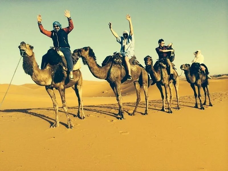 Viajesmarrakech - Day Tours