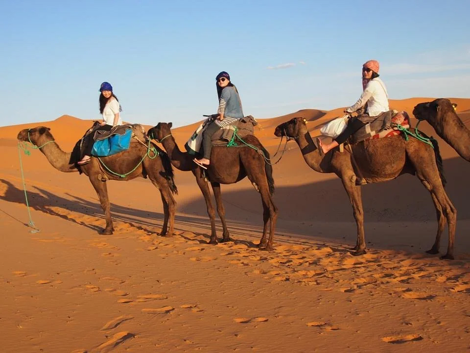 Travel Within Morocco