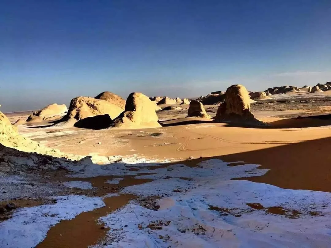 Bahariya Oasis