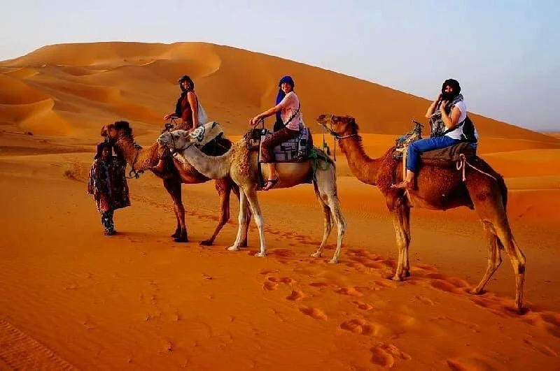Sahara Gate Tours