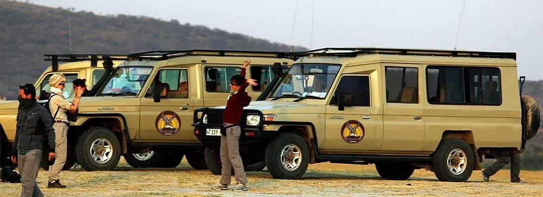 Kiliholidays Tours & Safaris