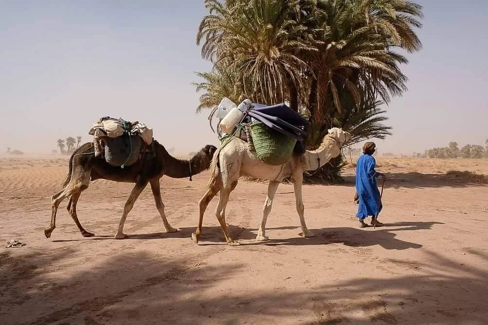 Excursion désert Maroc