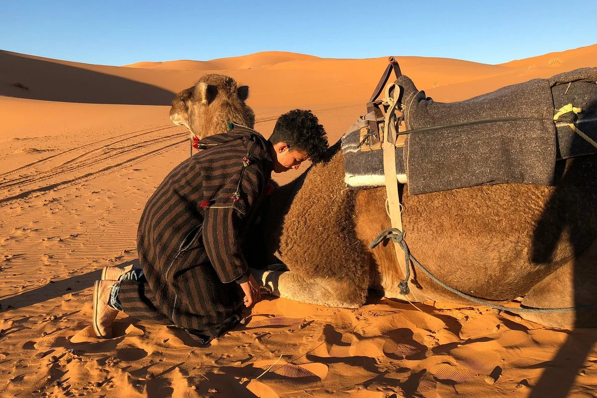 Shared Morocco Desert Tours