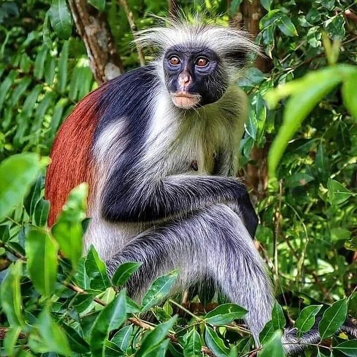 Karihe Zanzibar Tours