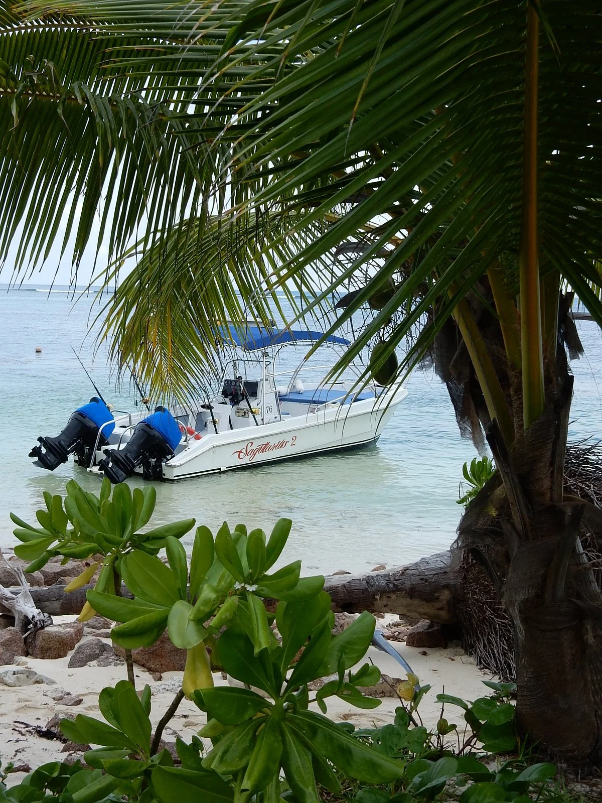 Sagittarius Taxi Boat Excursions