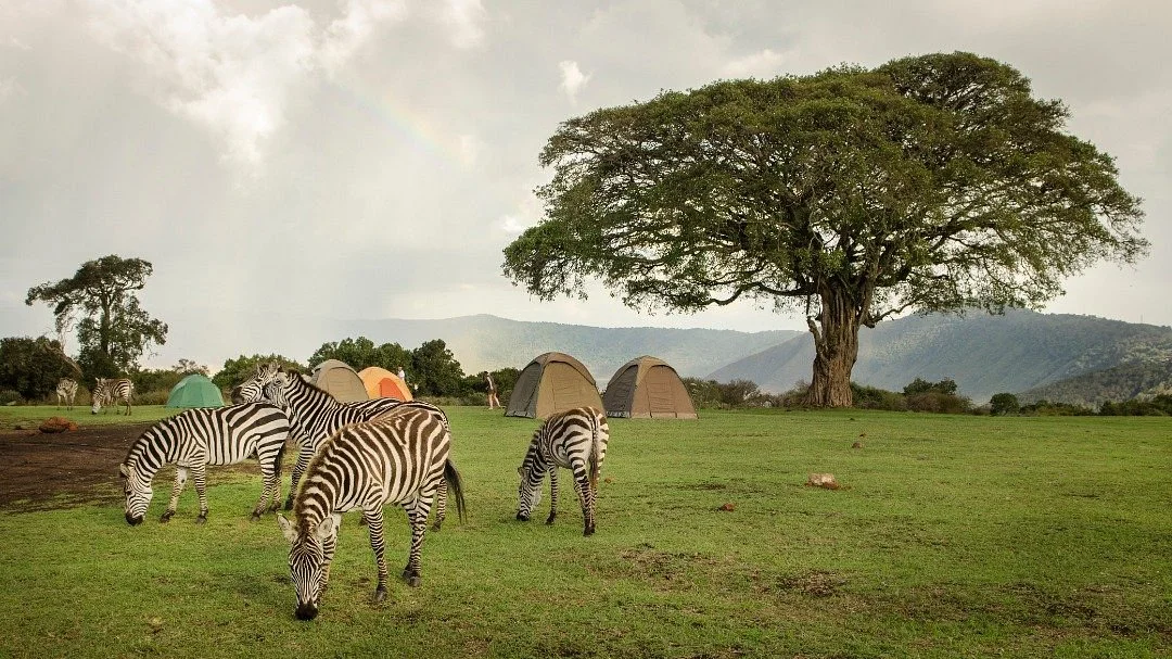 Kibuyu African Safaris