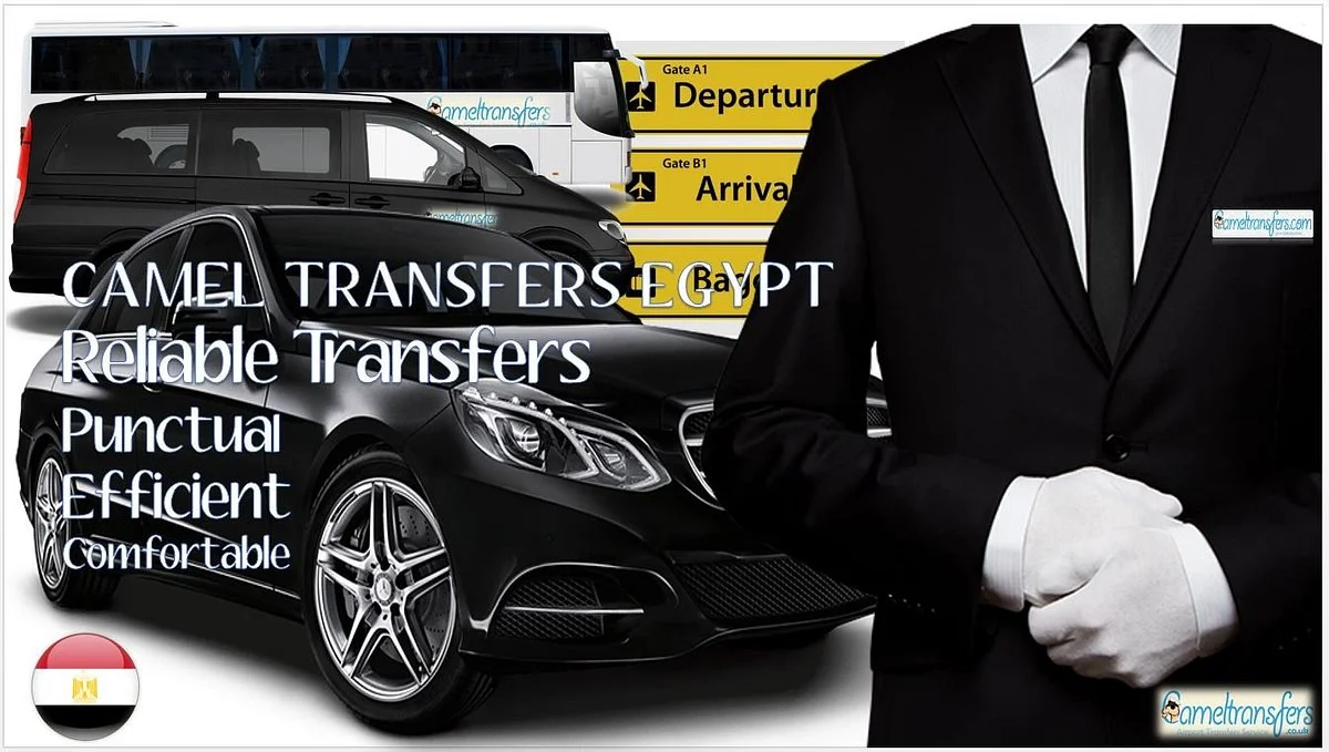 Camel transfers & tours