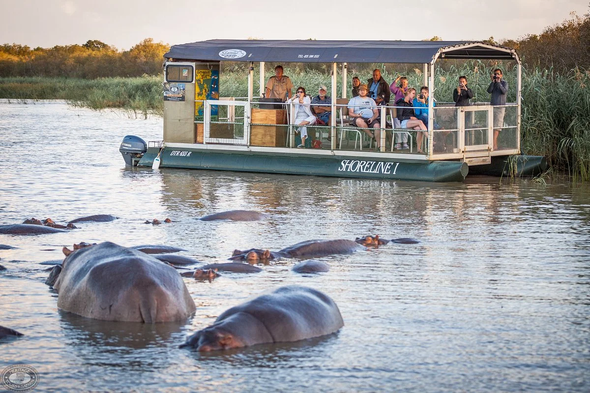 Shoreline Hippo and Croc Cruises