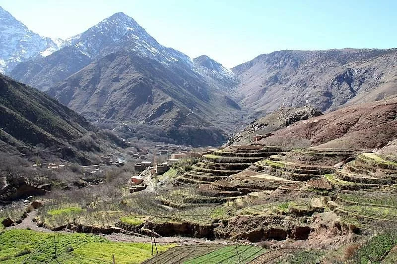 Treks All Morocco - Private Day Tours