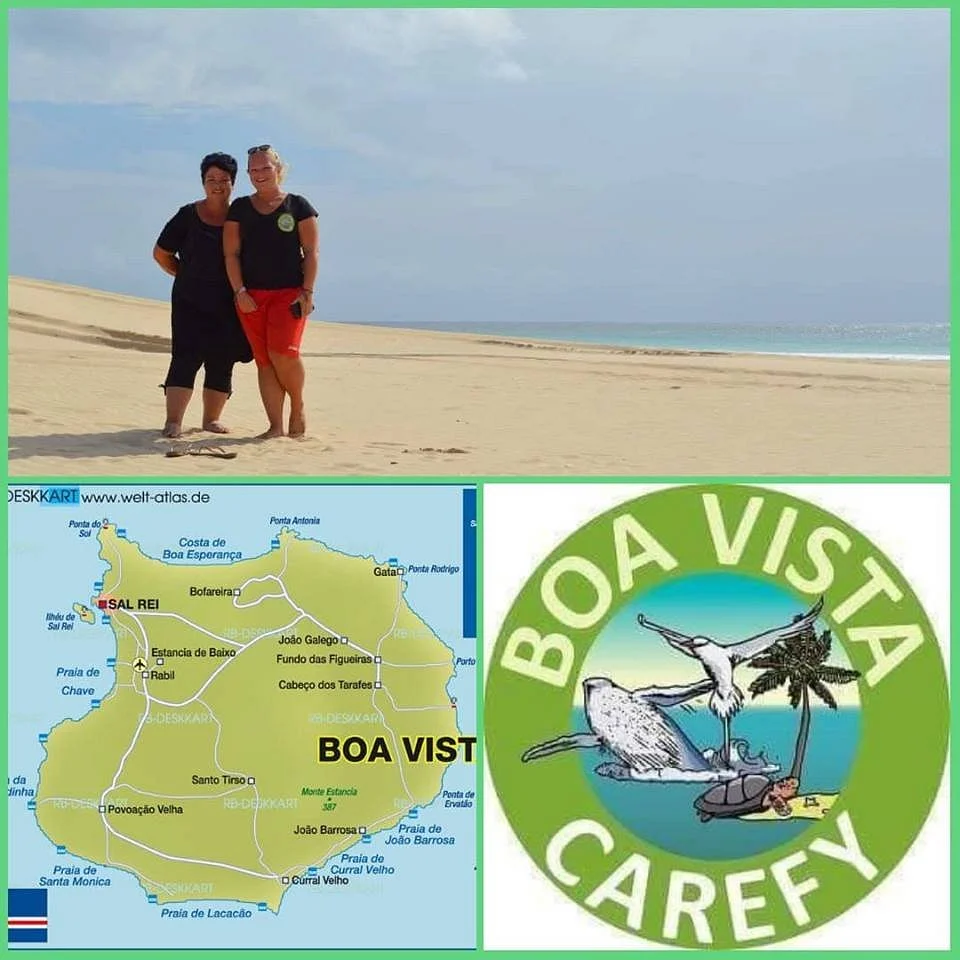 Boa Vista Carefy