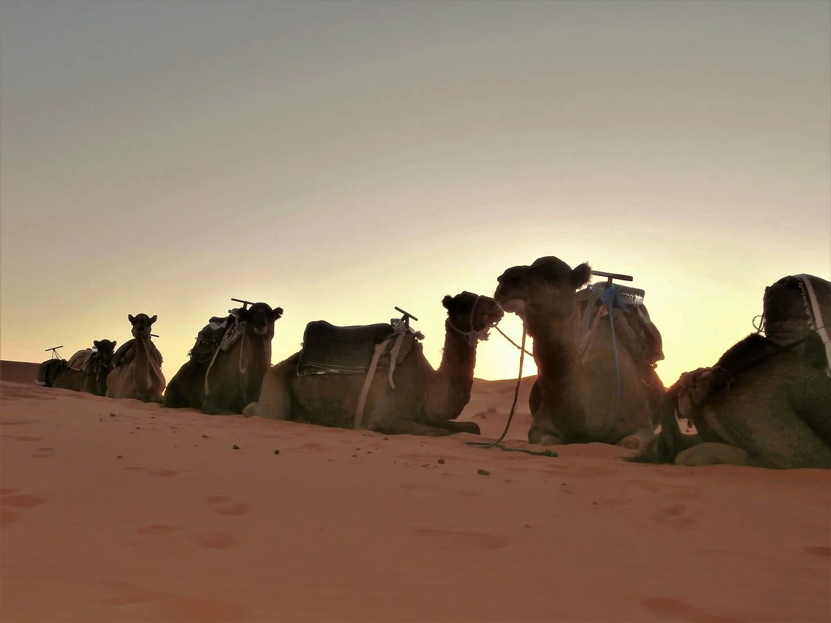 Maroc Excursions