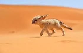 Morocco Trip Adventure