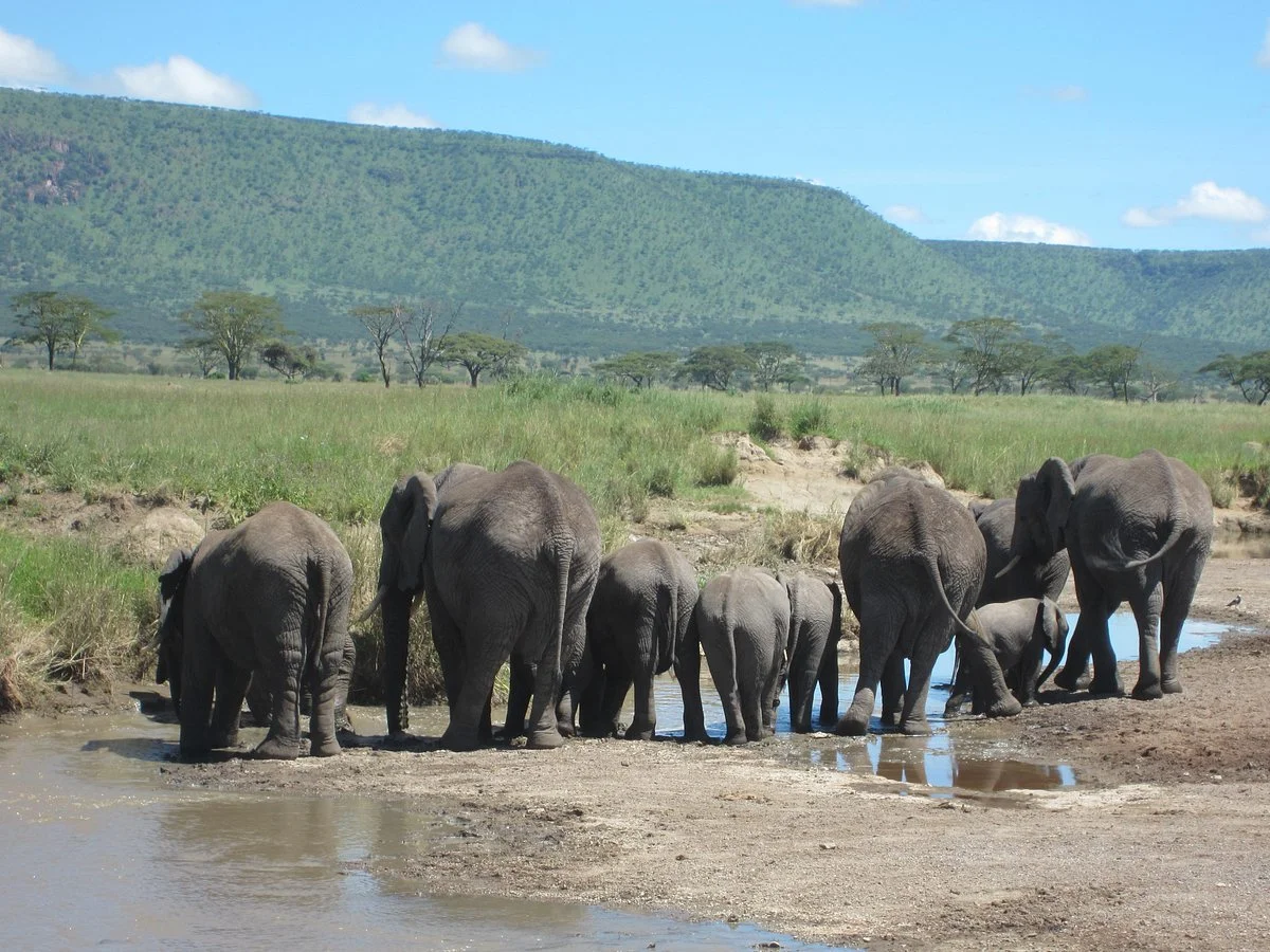 Dusty Roads Adventures & Tours - Day Tours