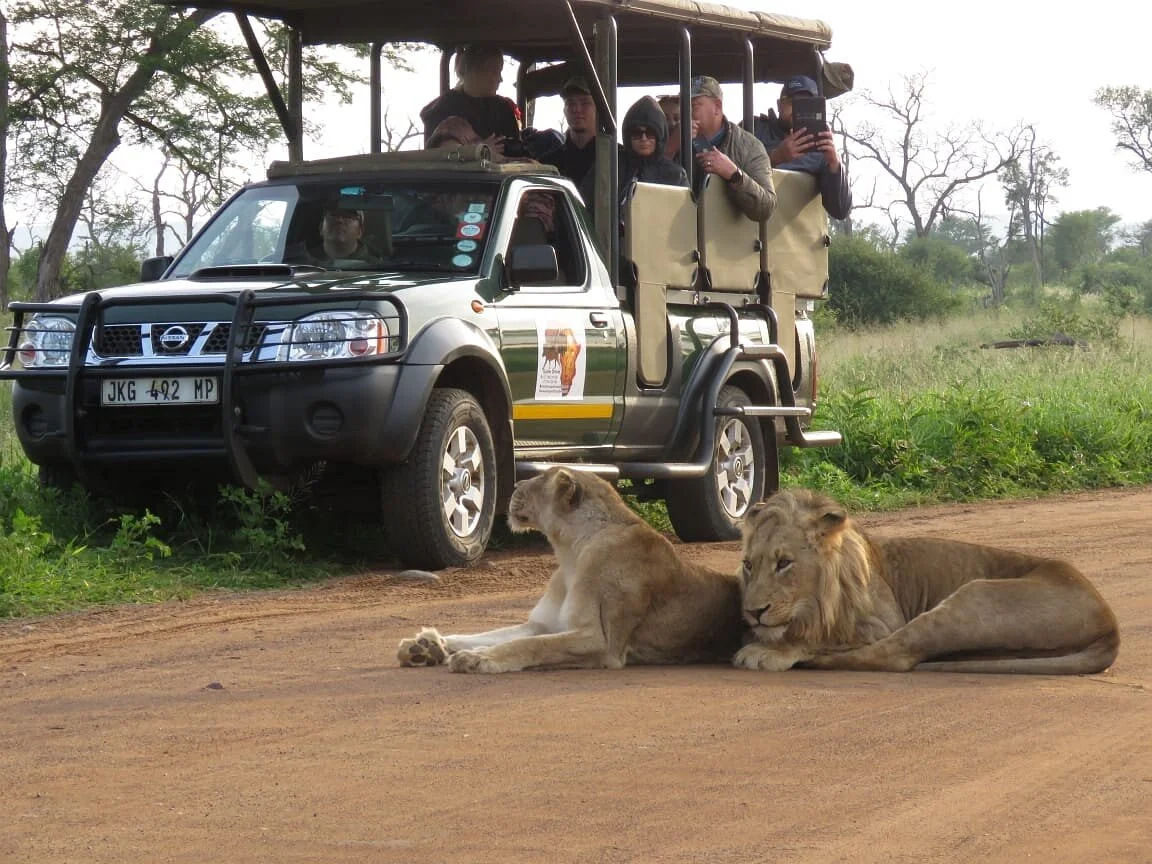 Kruger Africa Safaris
