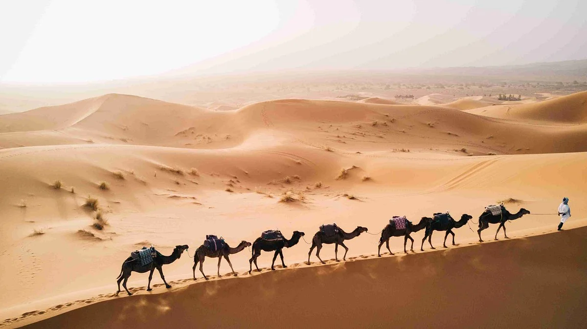 Atlas and Marrakech Day Tours