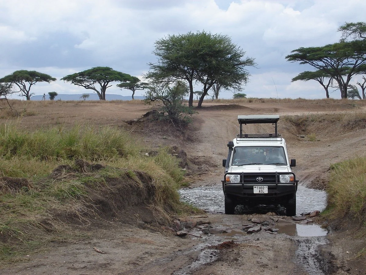 Masumin car hire & safaris