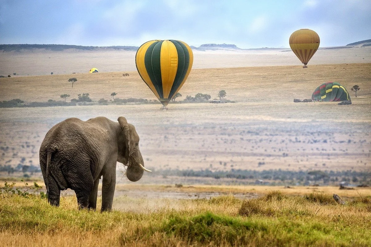 Samson's Safaris