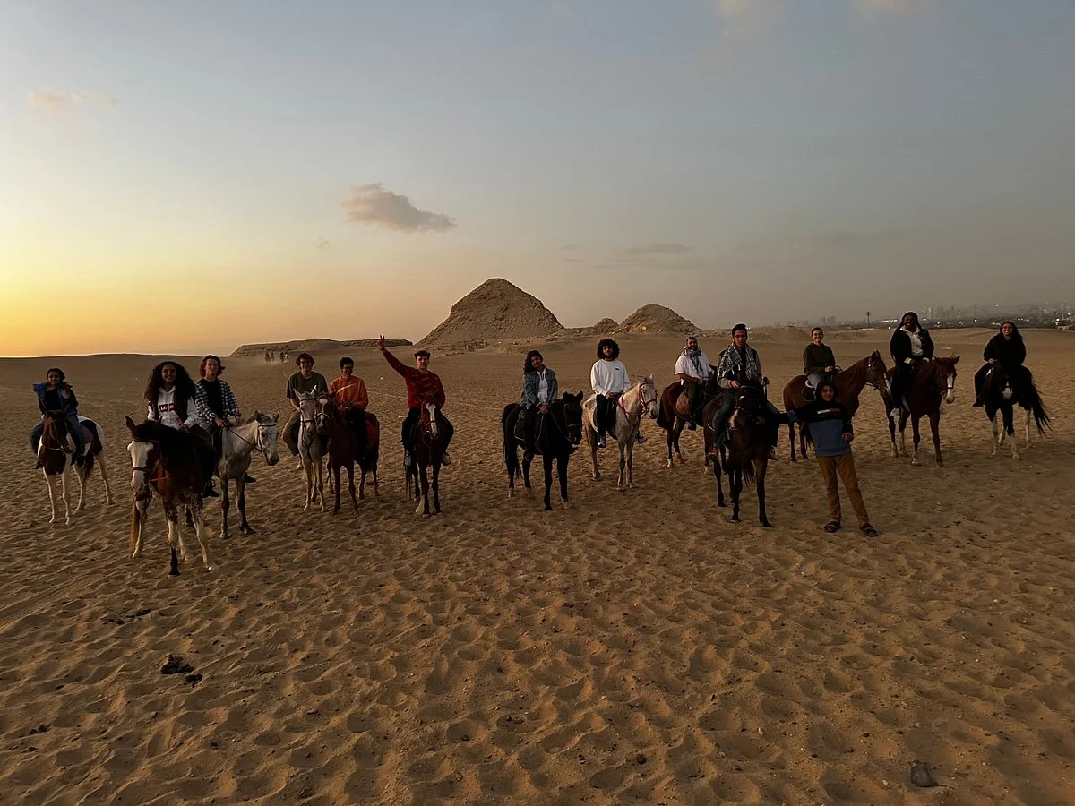 Cairo Horse Riding School