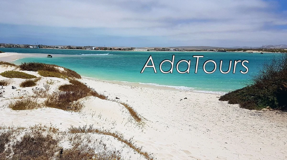 Ada Tours