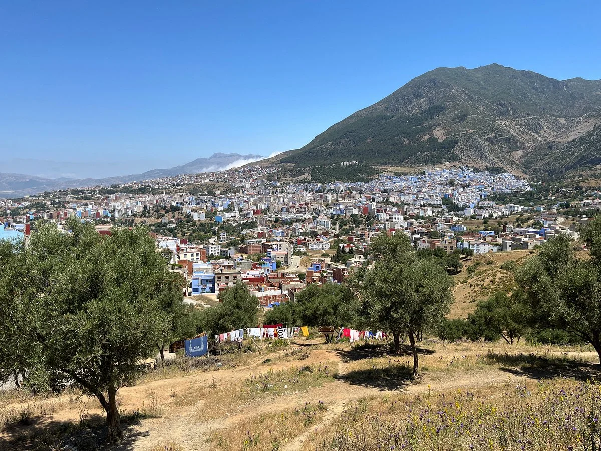 Tihama Trans Tours
