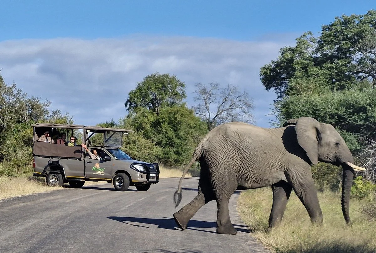 Bubezi Safaris