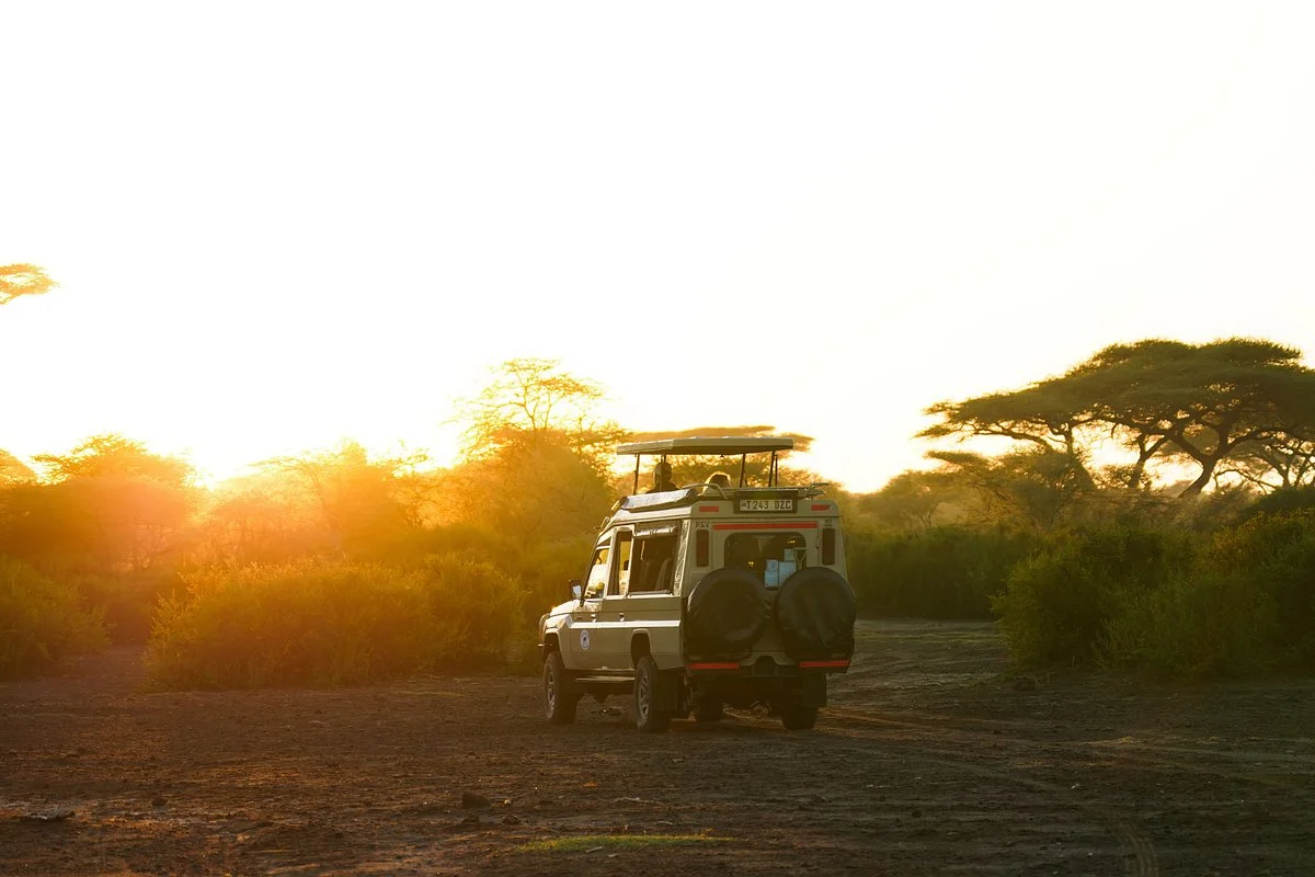 Tanzania Serengeti Adventure Ltd