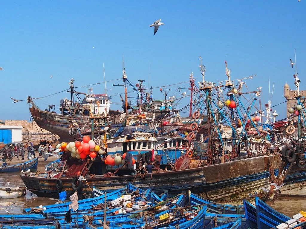 Morocco Sightseeing Tours