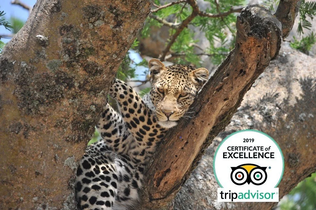 Proud African Safaris