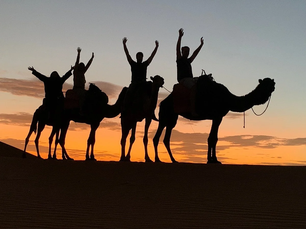 Morocco Desert Trek - Day Tours