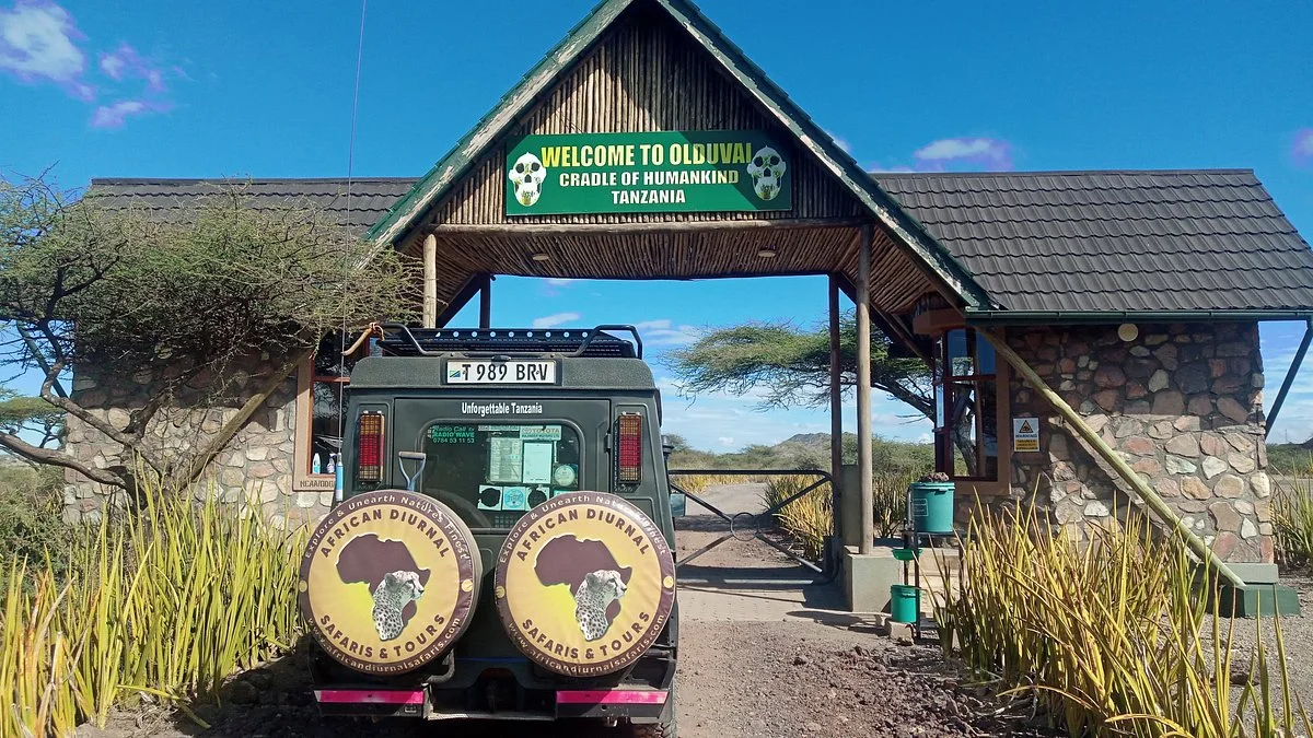 AFRICAN DIURNAL SAFARIS & TOURS