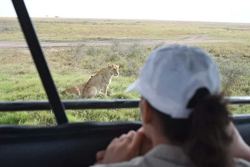TOPY TOURS