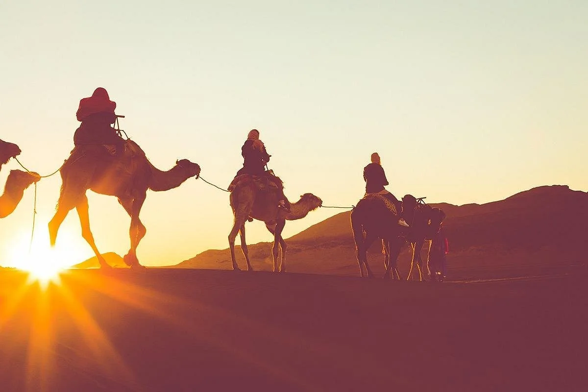Fez Experience Tours