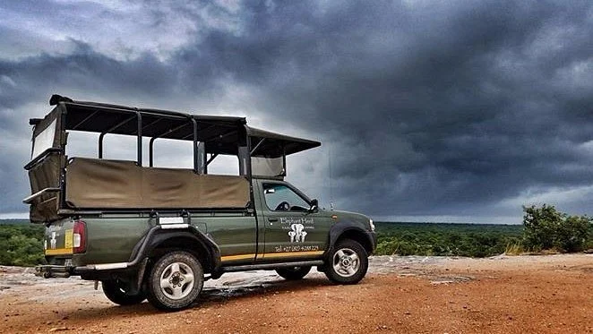 Elephant Herd Tours & Safaris