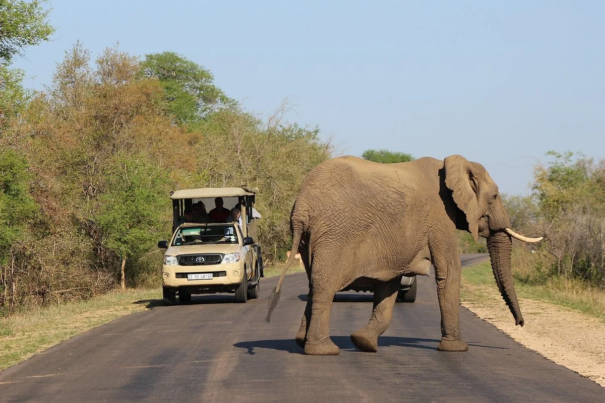 Vomba Tours & Safaris