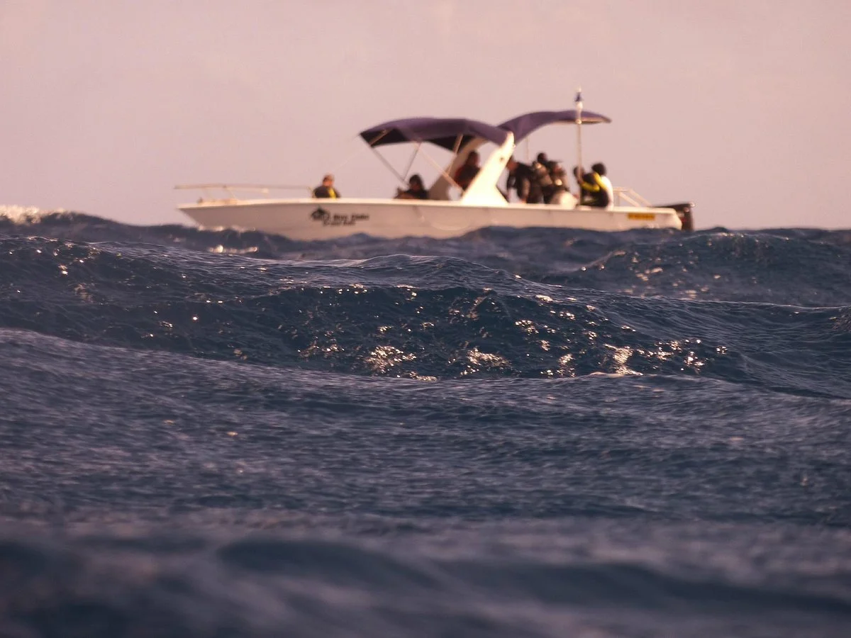Orca Dive Club - Pereybere
