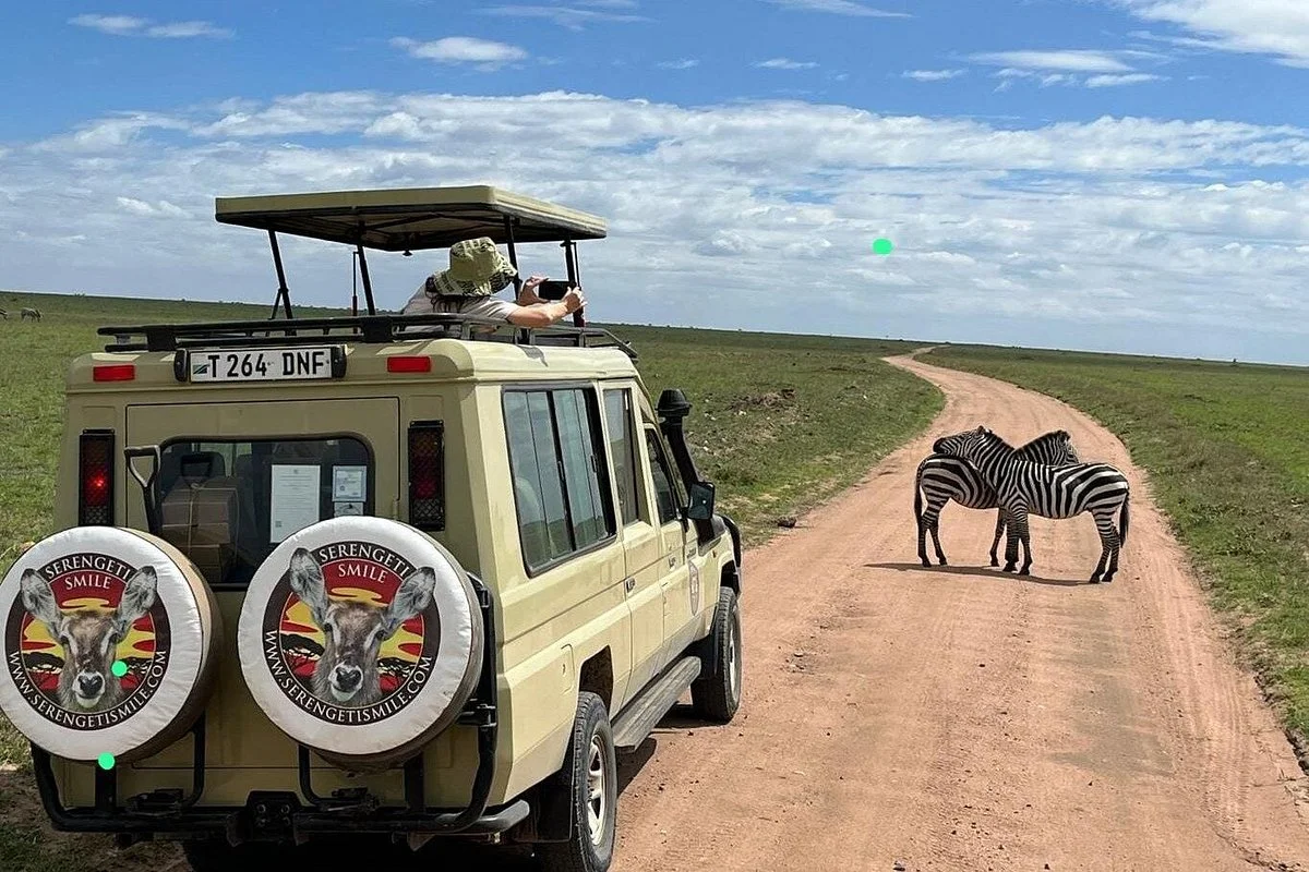Serengeti Smile