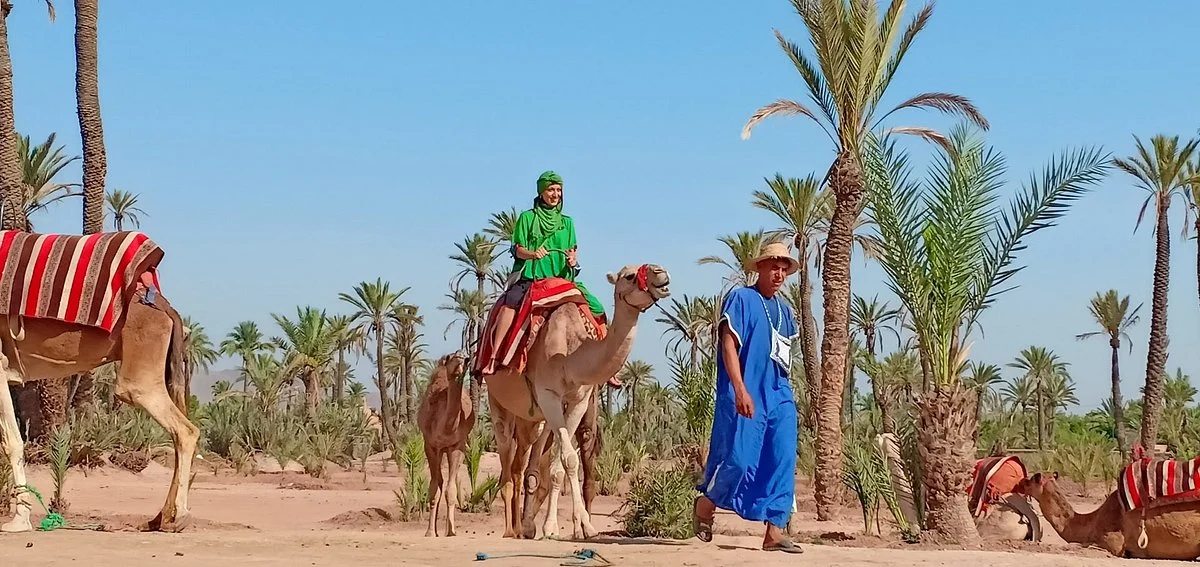 Abdo Golf Tours