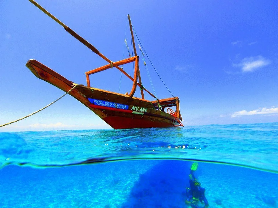 One Ocean