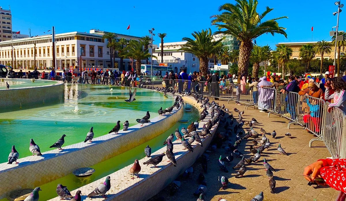 Active Morocco