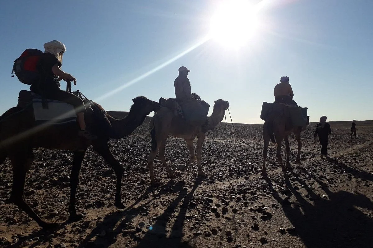 Sahara Peace