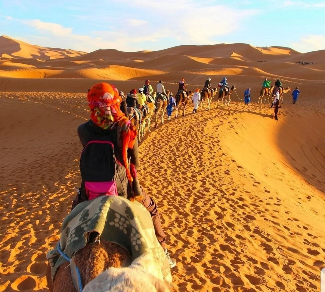 Marrakech Excursions Desert