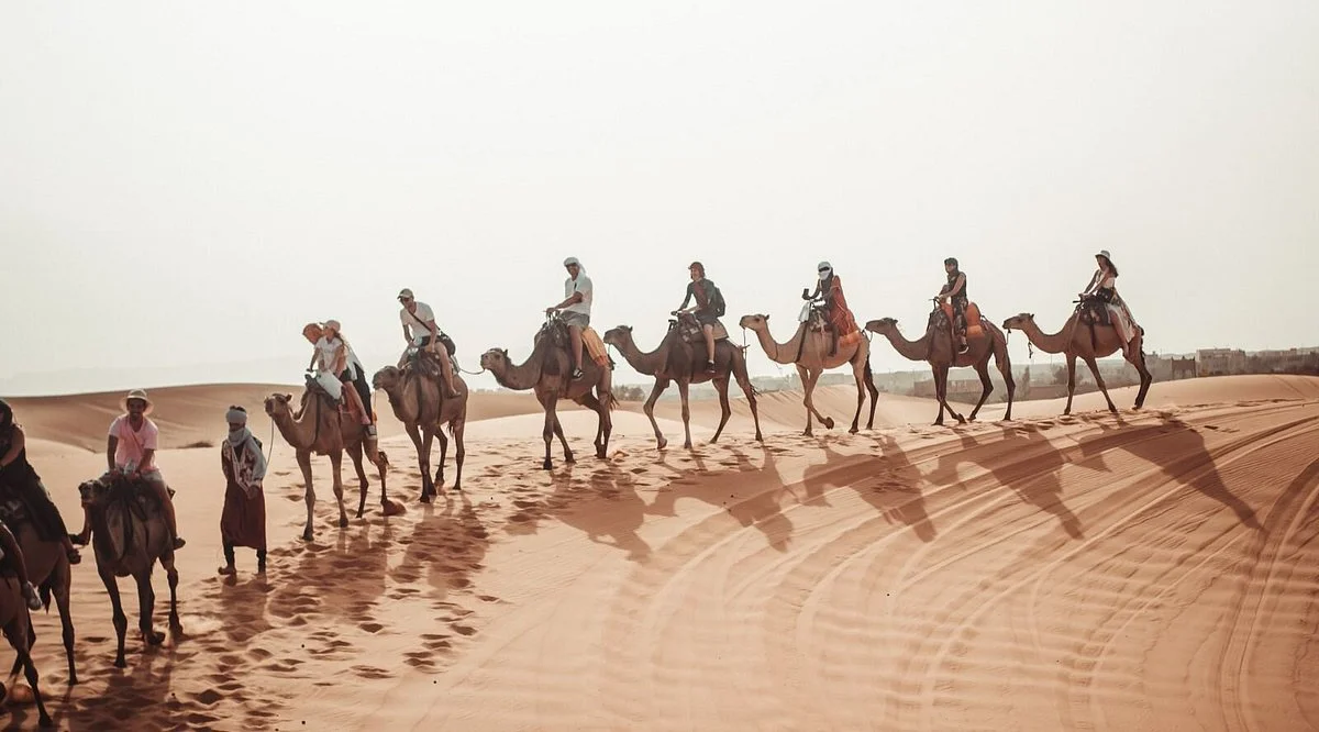 Morocco Delighted Tours