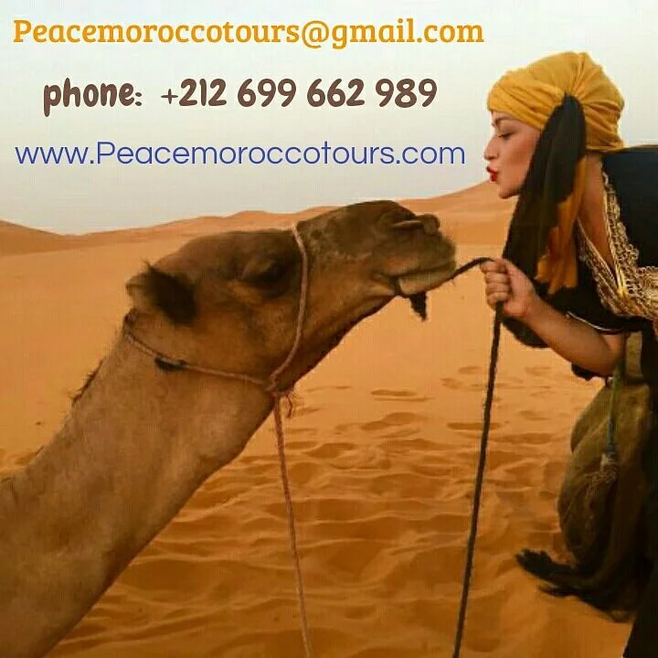 Peace Morocco Tours