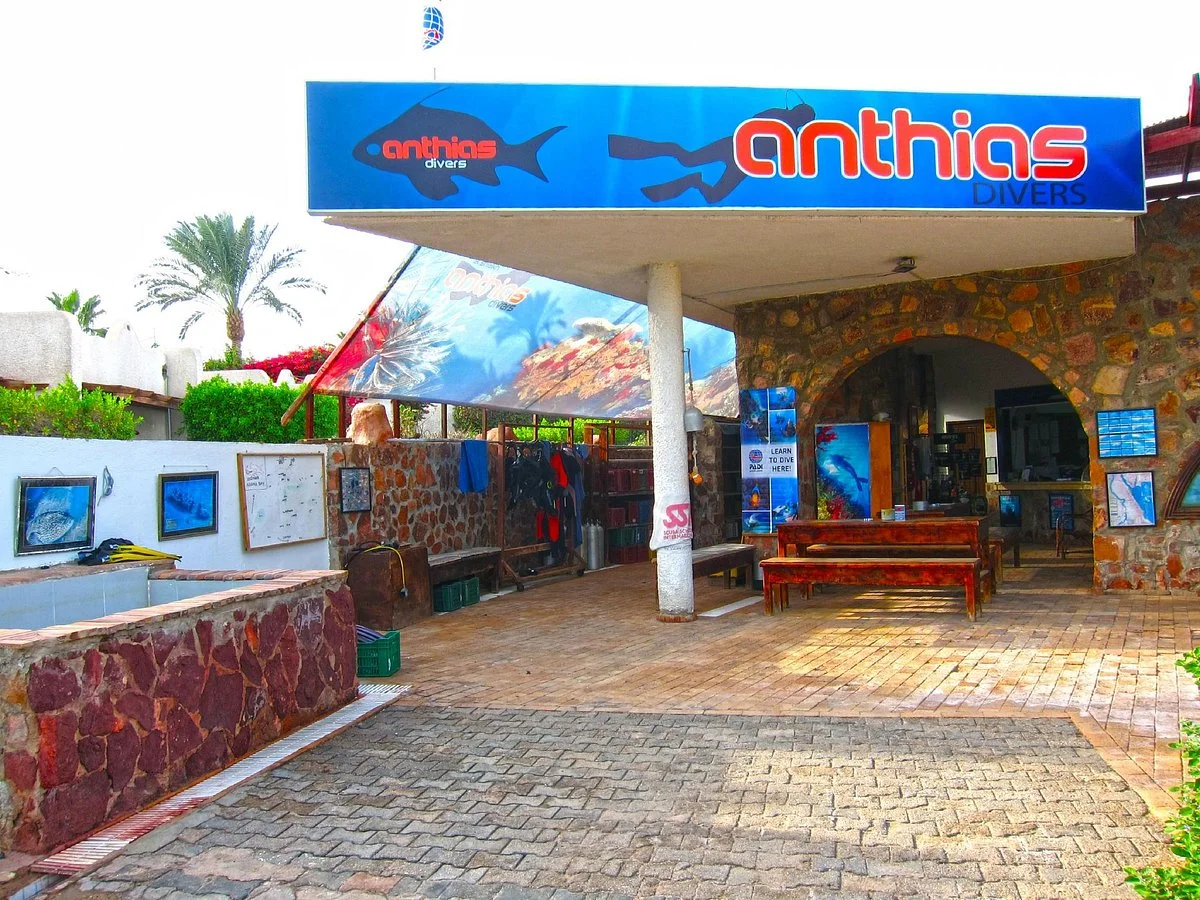 Anthias Divers, Sharm el Sheikh