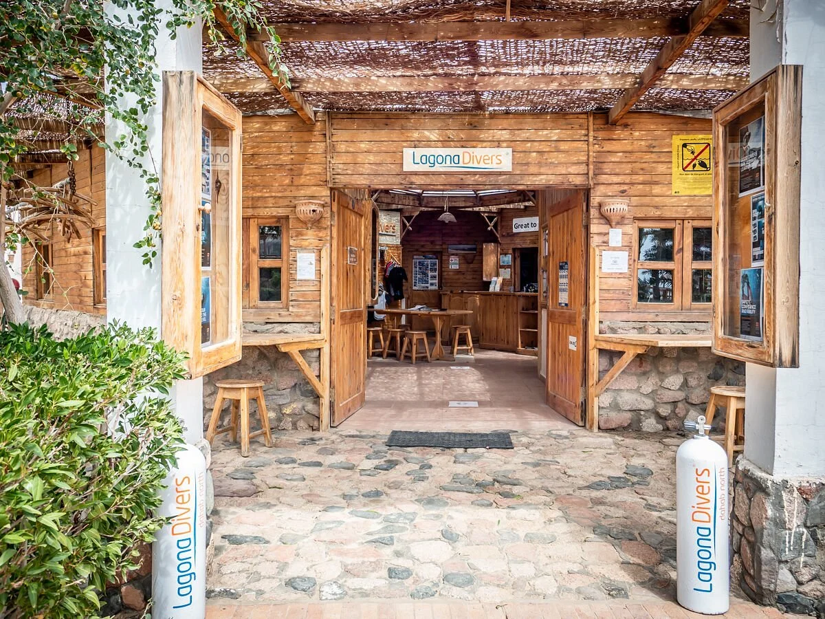 Lagona Divers – Dahab North