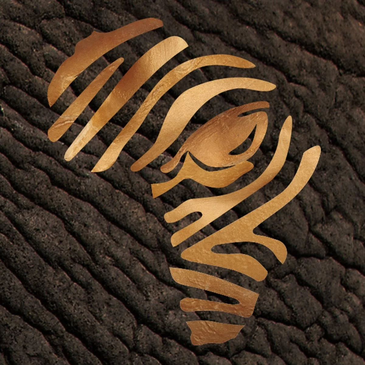 eyeseeAfrica