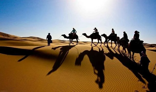 Your Ticket To Morocco - Day Tours