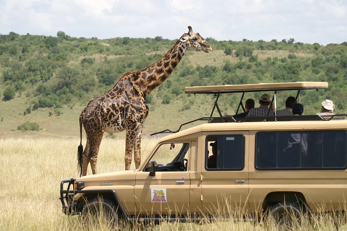 Twiga Tours