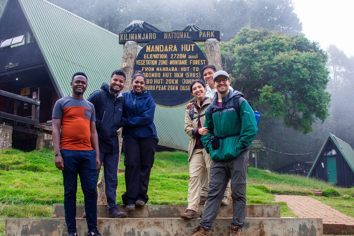 Serengeti Wildlife Safari